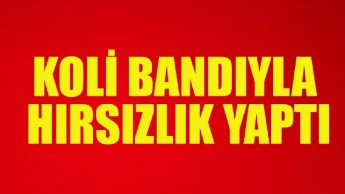 KOLİ BANDIYLA HIRSIZLIK YAPTI