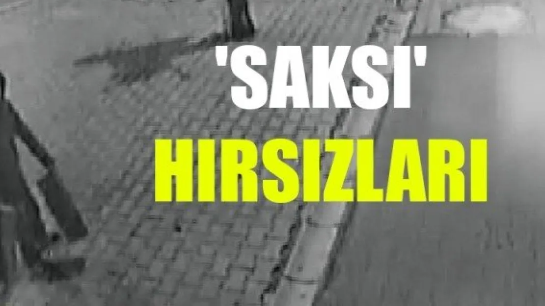 'SAKSI' HIRSIZLARI