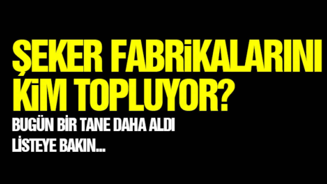 Şeker fabrikalarını kim topluyor?