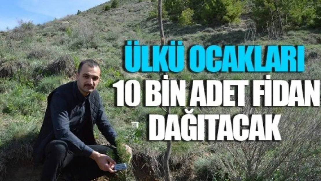 ÜLKÜ OCAKLARI 10 BİN ADET FİDAN DAĞITACAK