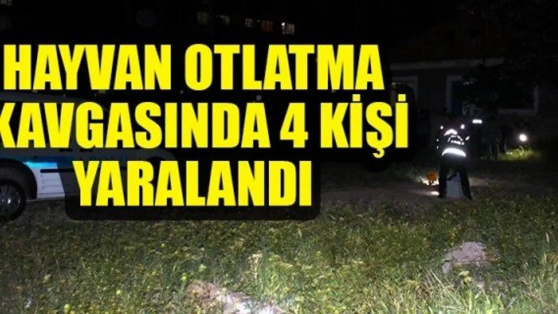 HAYVAN OTLATMA KAVGASINDA 4 KİŞİ YARALANDI