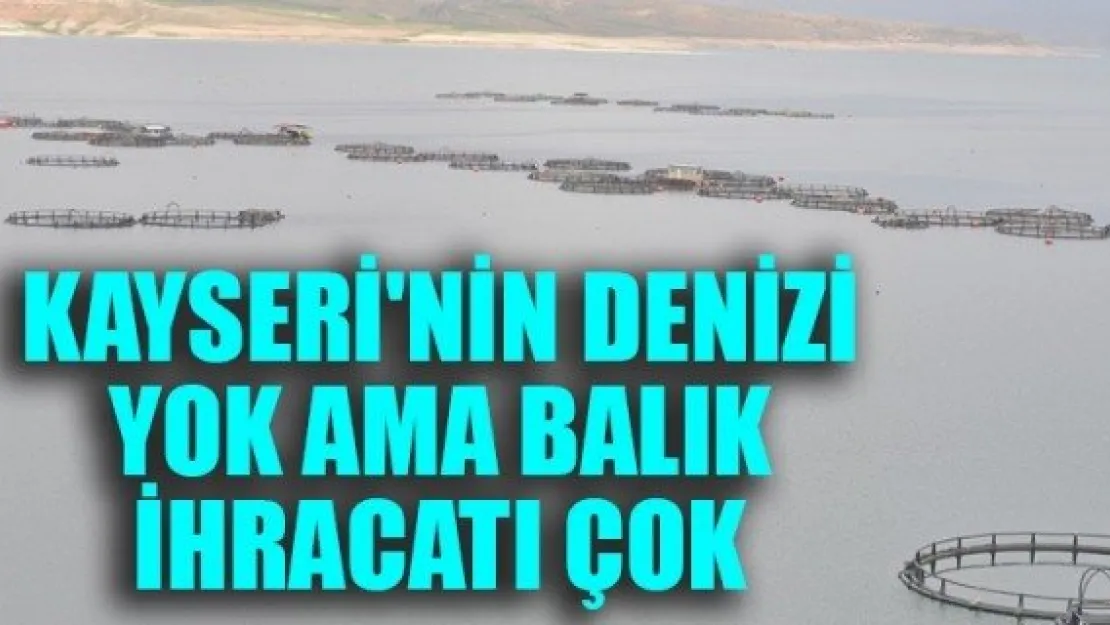 KAYSERİ'NİN DENİZİ YOK AMA BALIK İHRACATI ÇOK