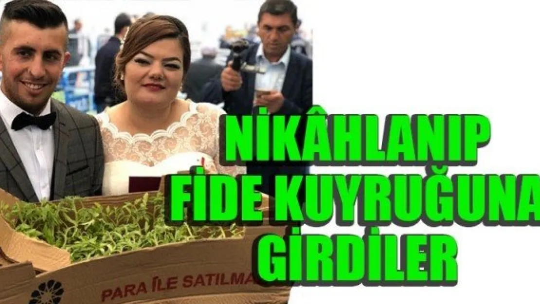 NİKHLANIP FİDE KUYRUĞUNA GİRDİLER