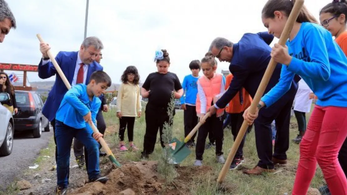 Talas'ta Ağaçlandırma seferberliği