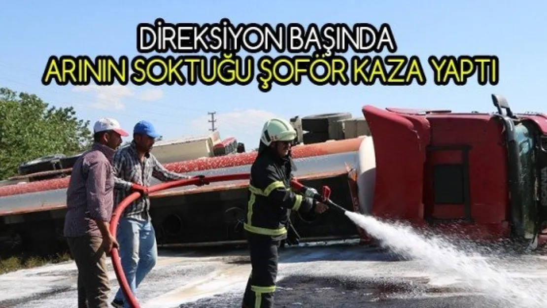 Direksiyon başında arının soktuğu şoför kaza yaptı