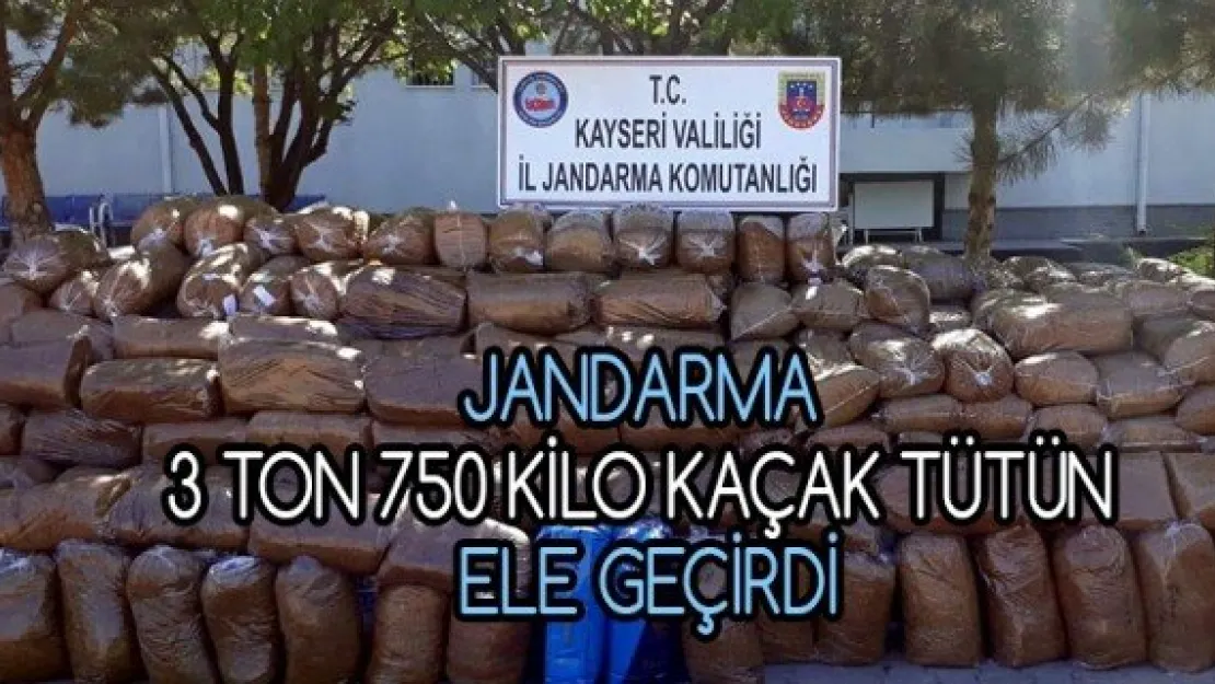 Jandarma 3 ton 750 kilo kaçak tütün ele geçirdi