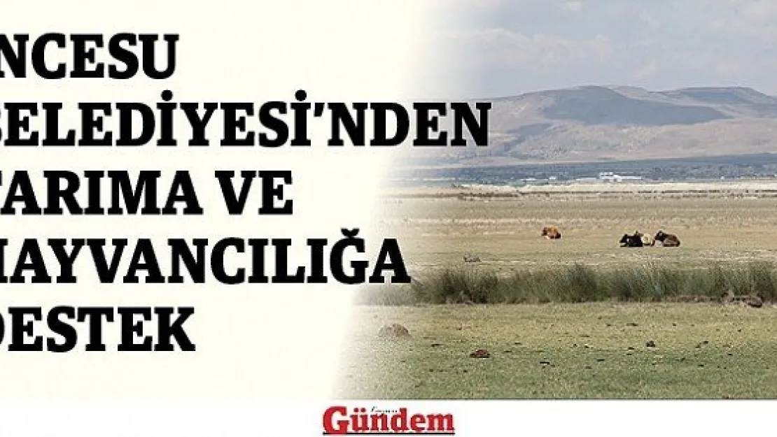 İncesu Belediyesi'nden Tarıma ve Hayvancılığa Destek