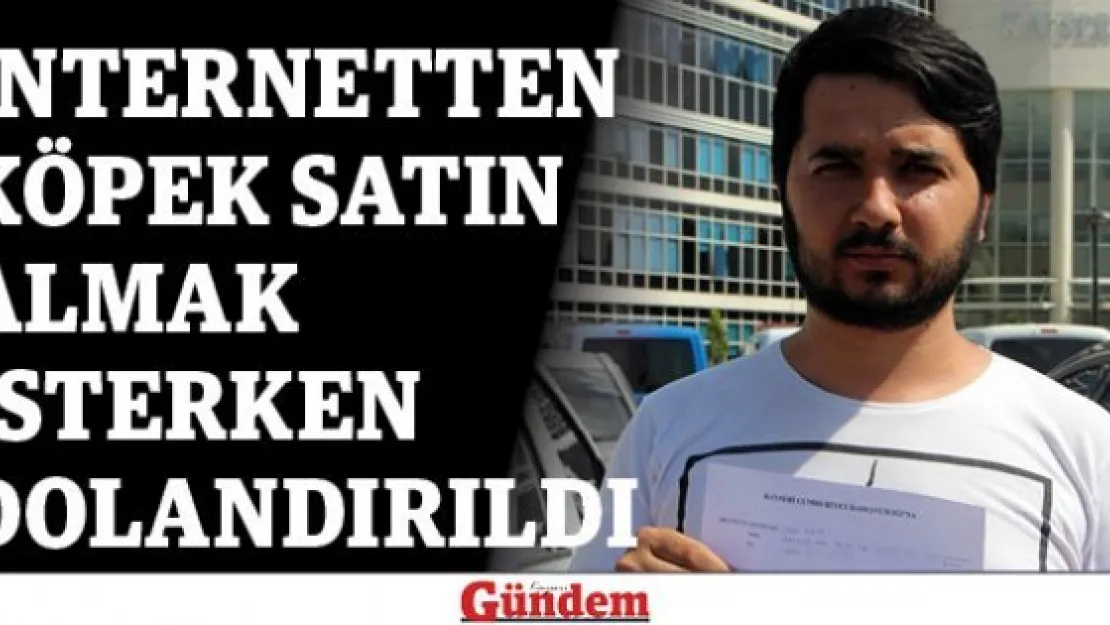 İnternetten köpek satın almak isterken dolandırıldı