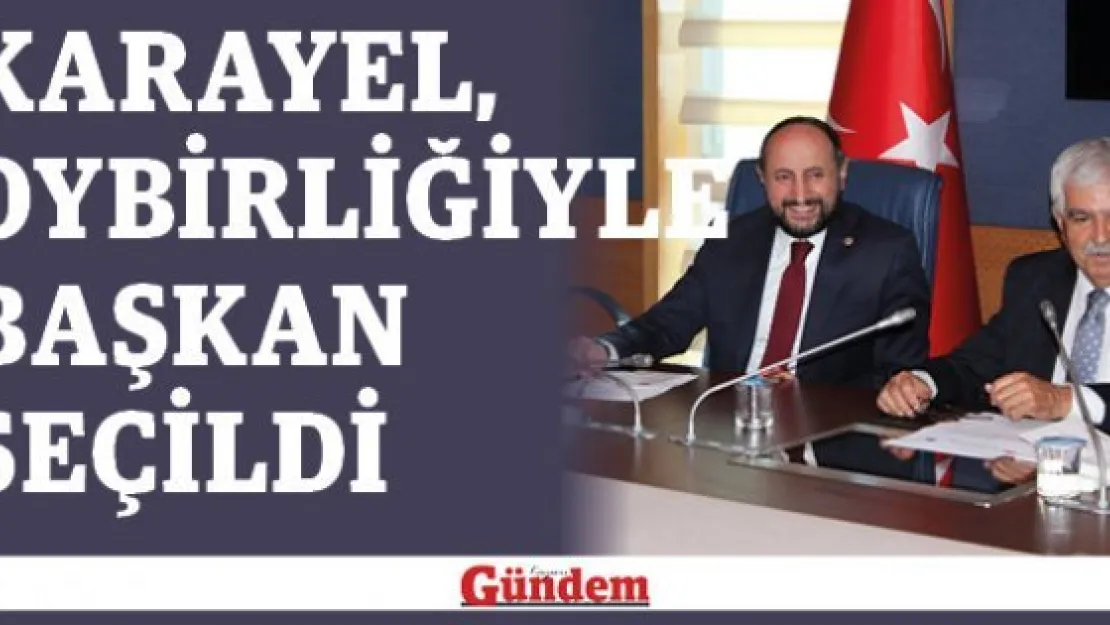 Karayel, oybirliğiyle başkan seçildi