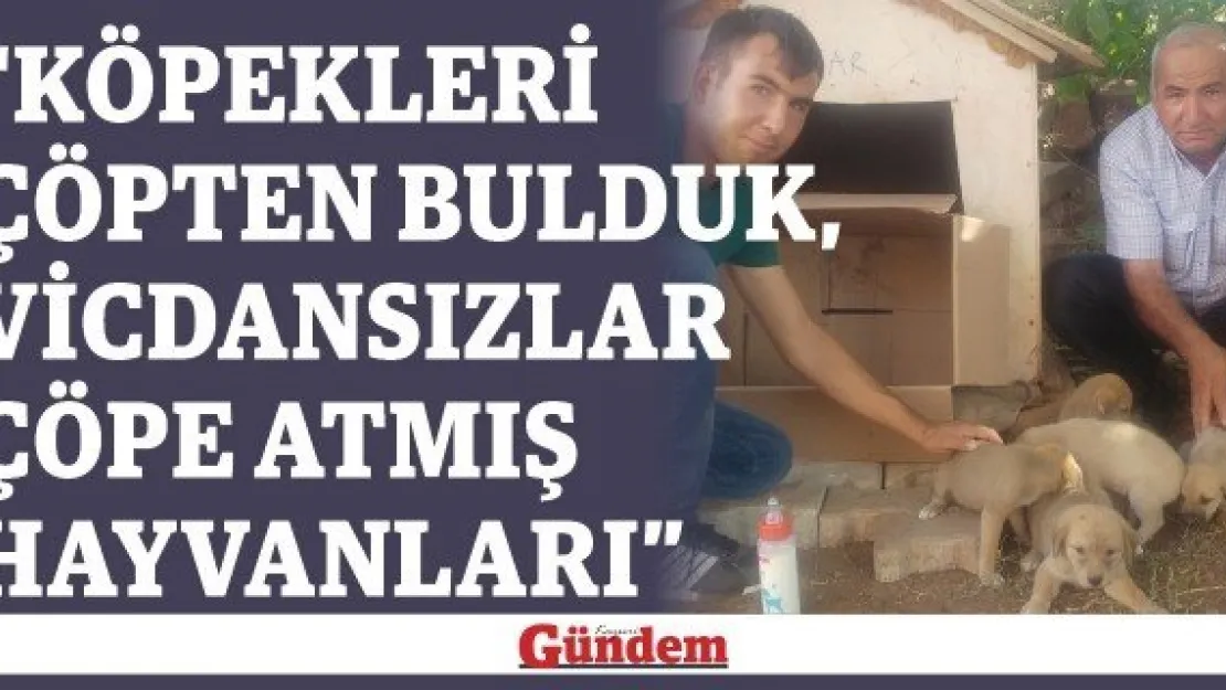 &quotKöpekleri çöpten bulduk, vicdansızlar çöpe atmış hayvanları'