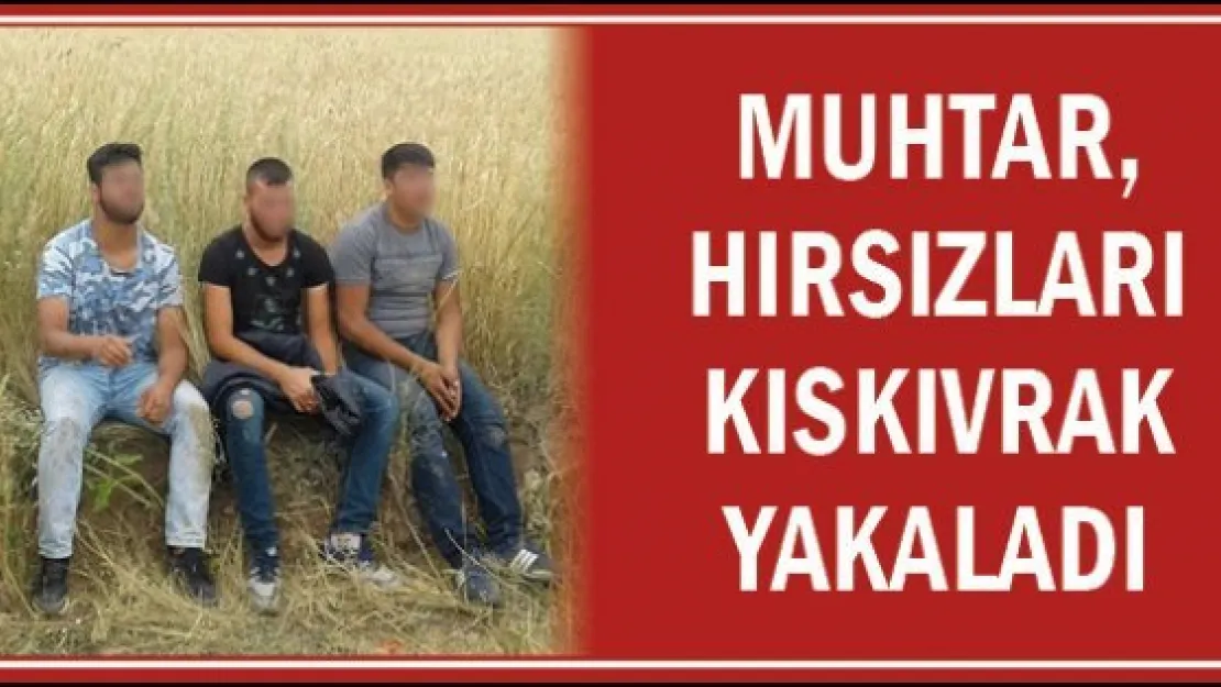 Muhtar, hırsızları kıskıvrak yakaladı