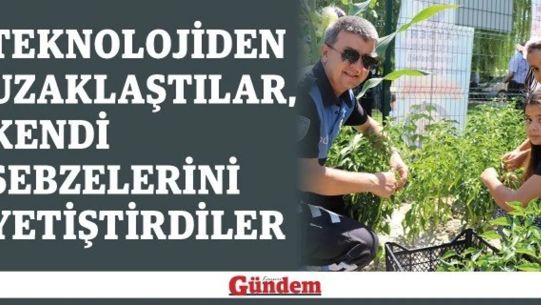 Teknolojiden uzaklaştılar, kendi sebzelerini yetiştirdiler