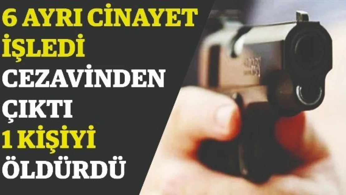 6 ayrı cinayet işledi, cezaevinden çıktı, 1 kişiyi öldürdü