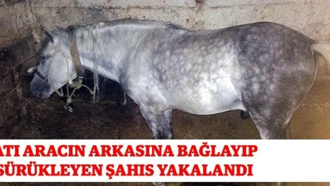 Atı aracın arkasına bağlayıp sürükleyen şahıs yakalandı