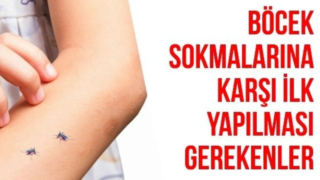 Böcek Sokmalarına Karşı İlk Yapılması Gerekenler