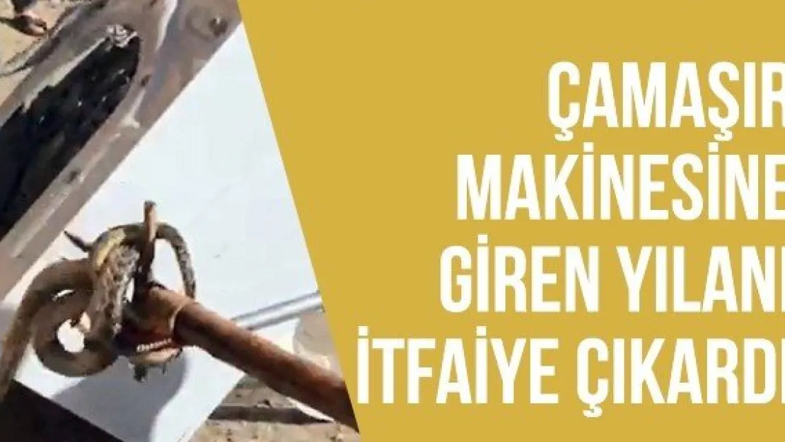 Çamaşır makinesine giren yılanı itfaiye çıkardı