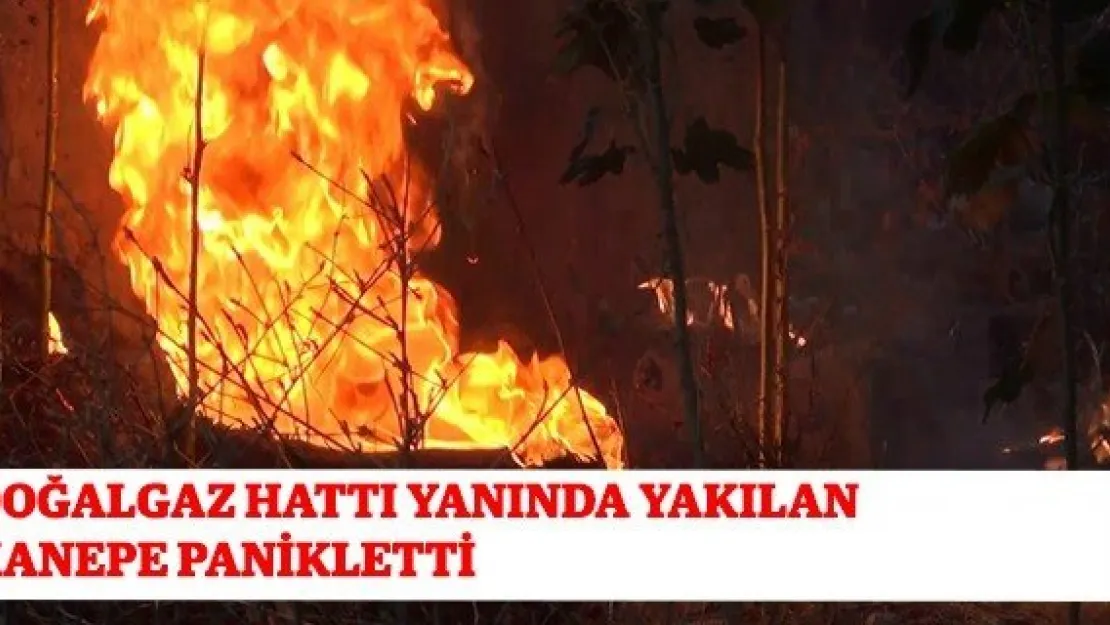 Doğalgaz hattı yanında yakılan kanepe panikletti