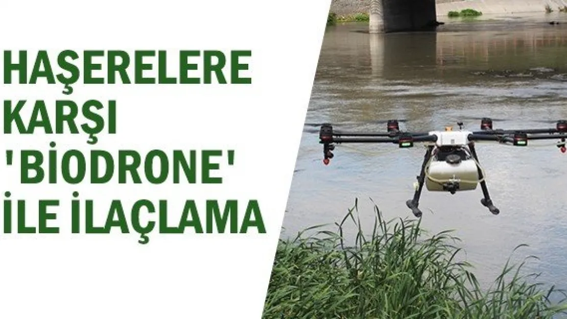 Haşerelere karşı 'biodrone' ile ilaçlama