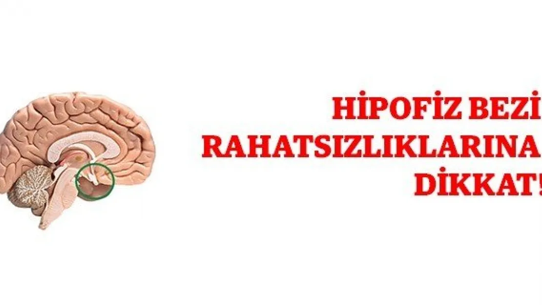 Hipofiz Bezi Rahatsızlıklarına Dikkat!