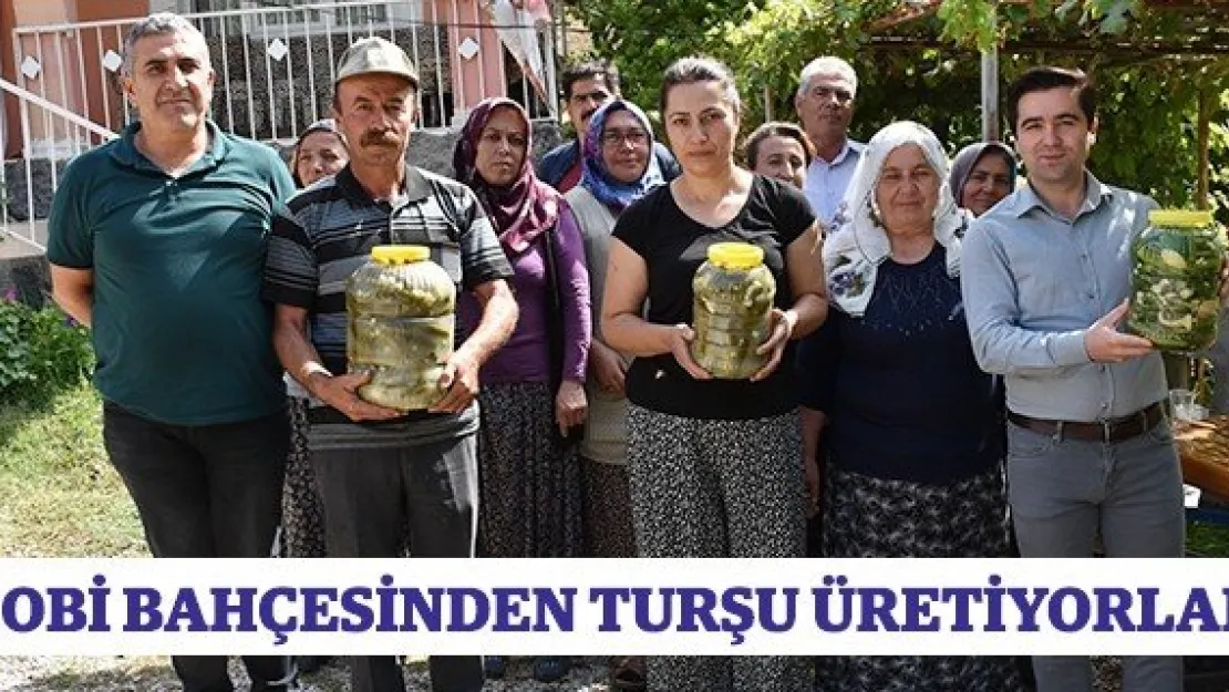 Hobi bahçesinden turşu üretiyorlar