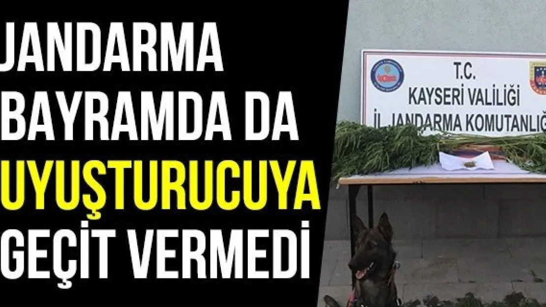 Jandarma bayramda da uyuşturucuya geçit vermedi