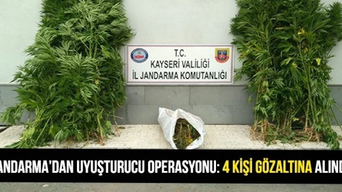 Jandarma'dan uyuşturucu operasyonu: 4 kişi gözaltına alındı