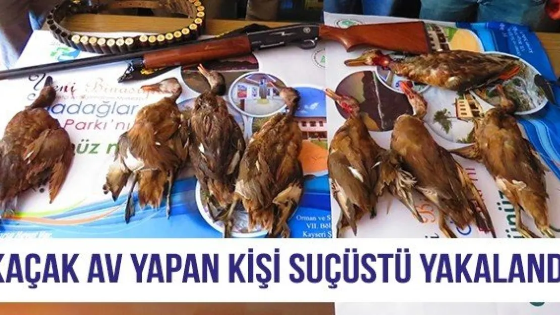 Kaçak av yapan kişi suçüstü yakalandı