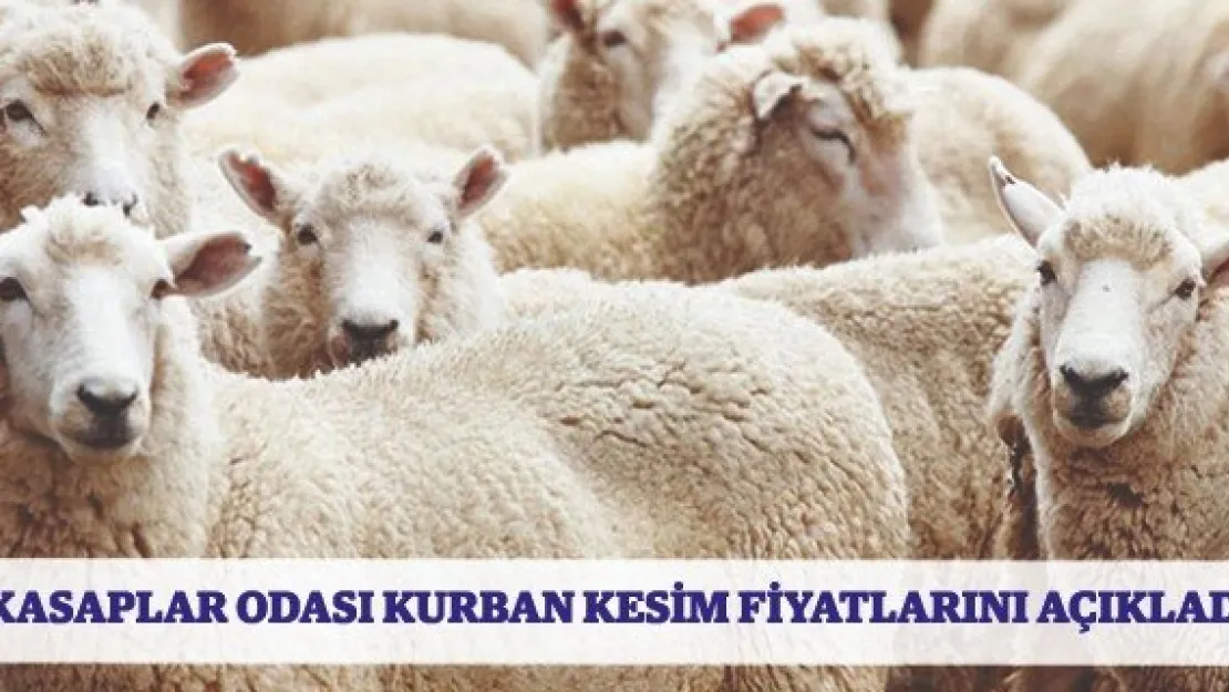 Kasaplar Odası Kurban Kesim Fiyatlarını Açıkladı