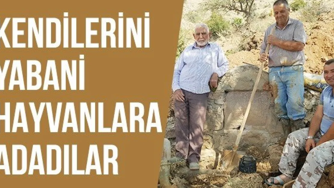 Kendilerini yabani hayvanlara adadılar