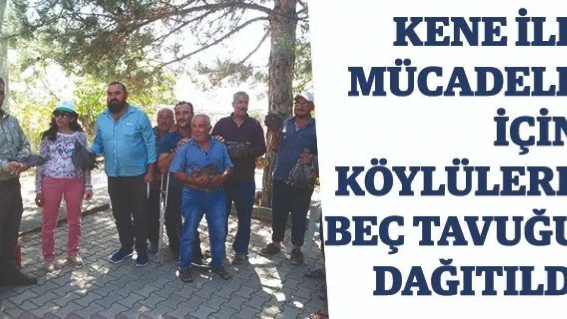 Kene ile mücadele için köylülere beç tavuğu dağıtıldı