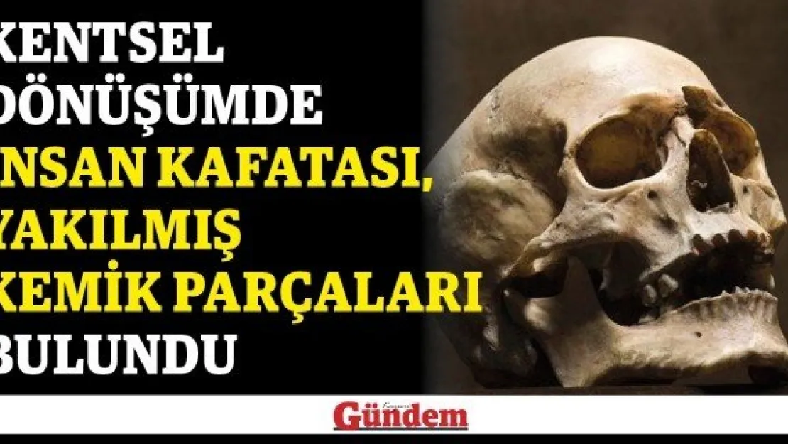 Kentsel dönüşümde insan kafatası, yakılmış kemik parçaları bulundu