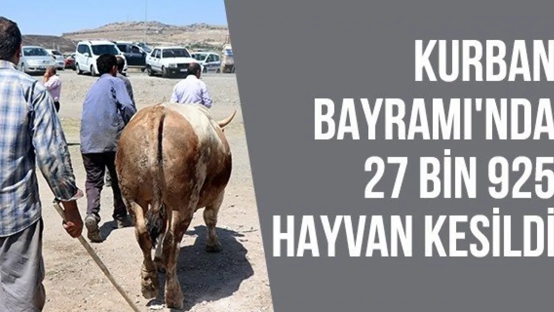 Kurban Bayramı'nda 27 bin 925 hayvan kesildi