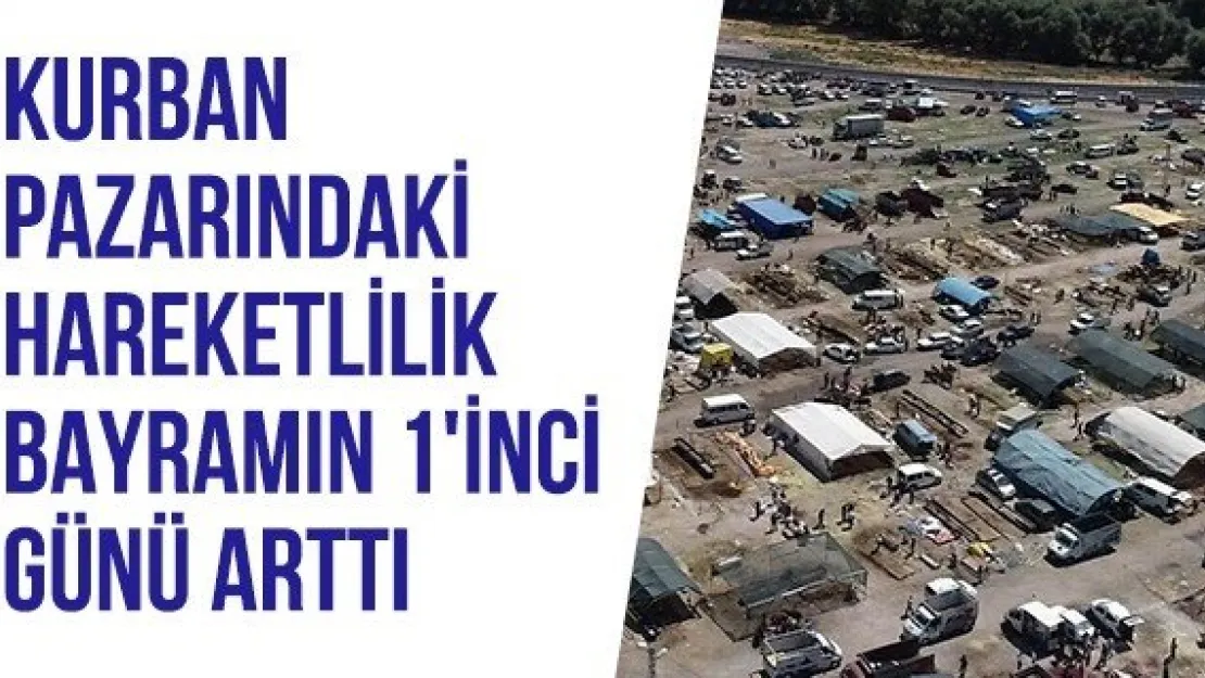 Kurban pazarındaki hareketlilik bayramın 1'inci günü arttı