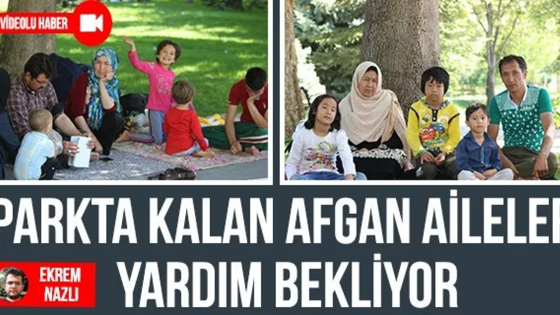 Parkta kalan Afgan aileler yardım bekliyor