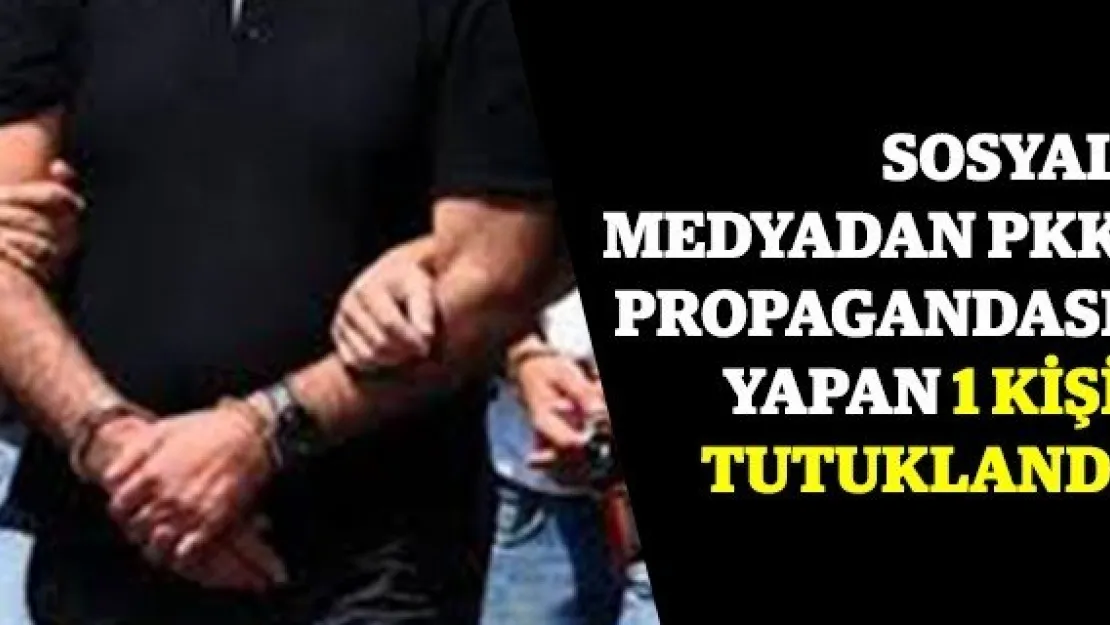 Sosyal medyadan PKK propagandası yapan 1 kişi tutuklandı