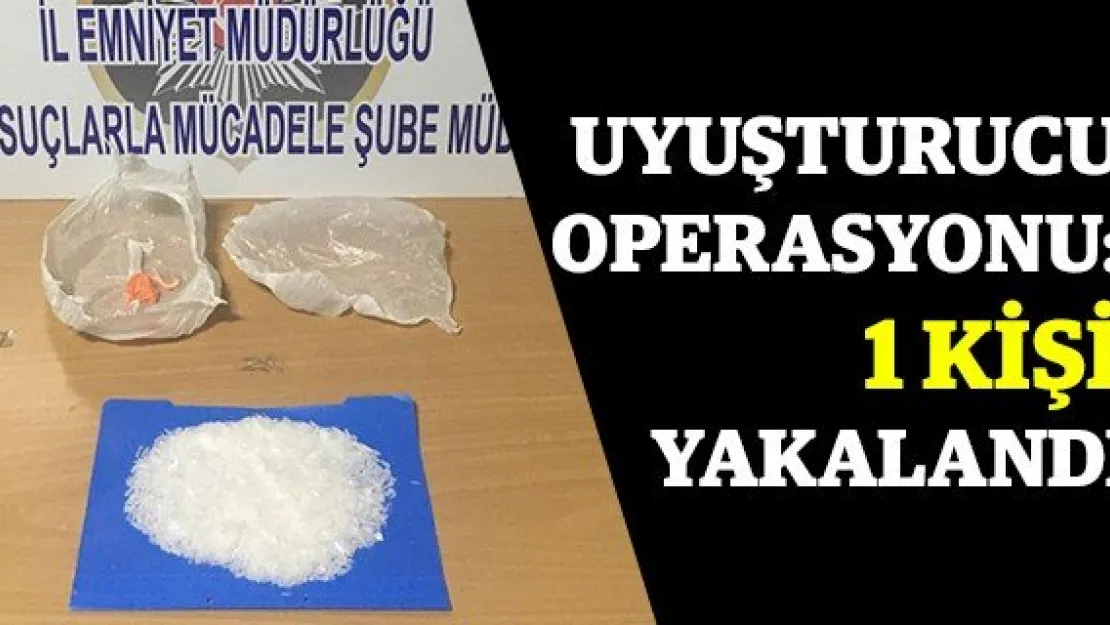 Uyuşturucu operasyonu: 1 kişi yakalandı