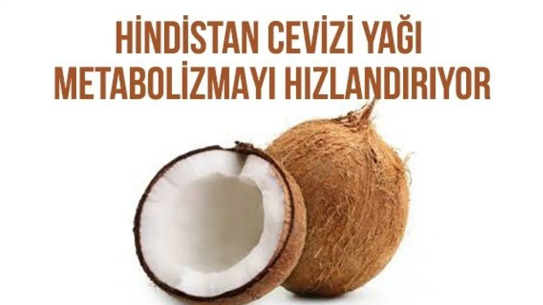 Hindistan Cevizi Yağı Metabolizmayı Hızlandırıyor