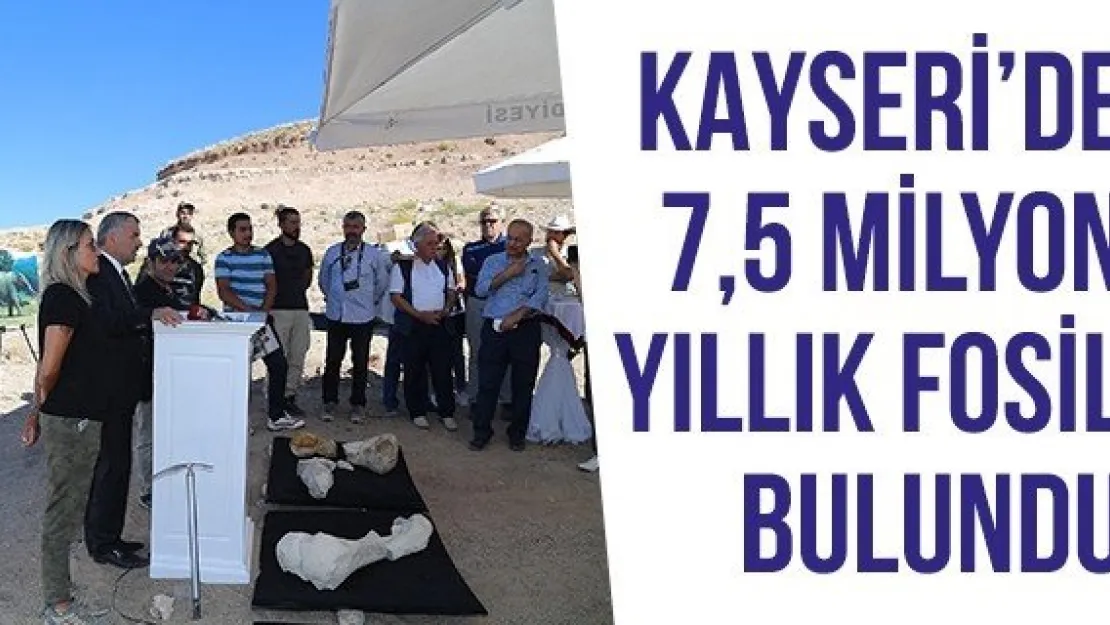 Kayseri'de 7,5 Milyon Yıllık Fosil Bulundu