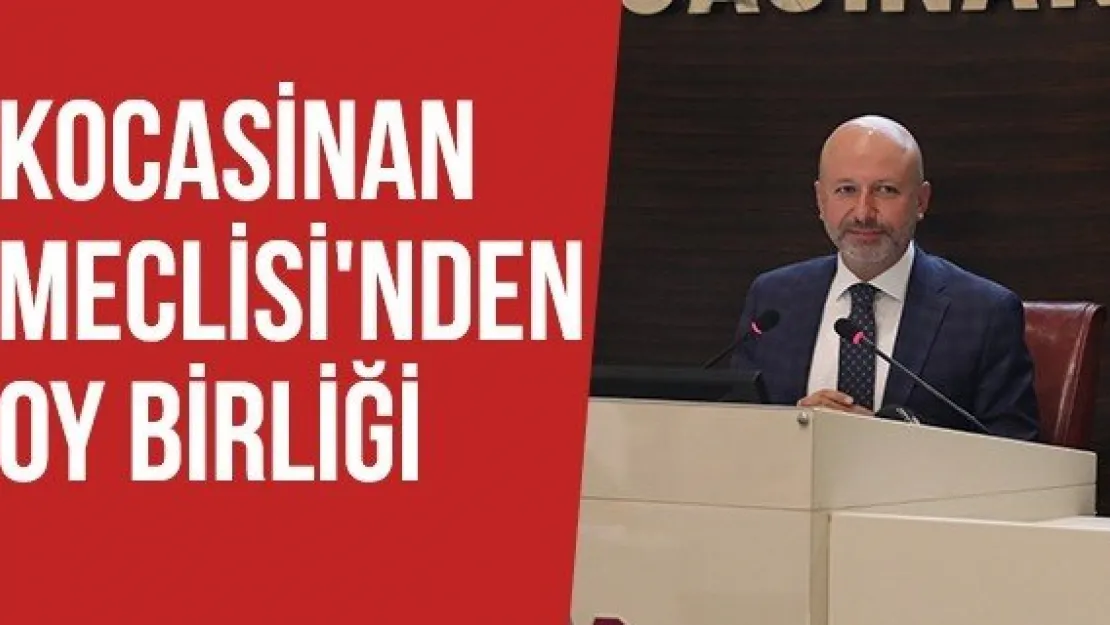 Kocasinan Meclisi'nden oy birliği