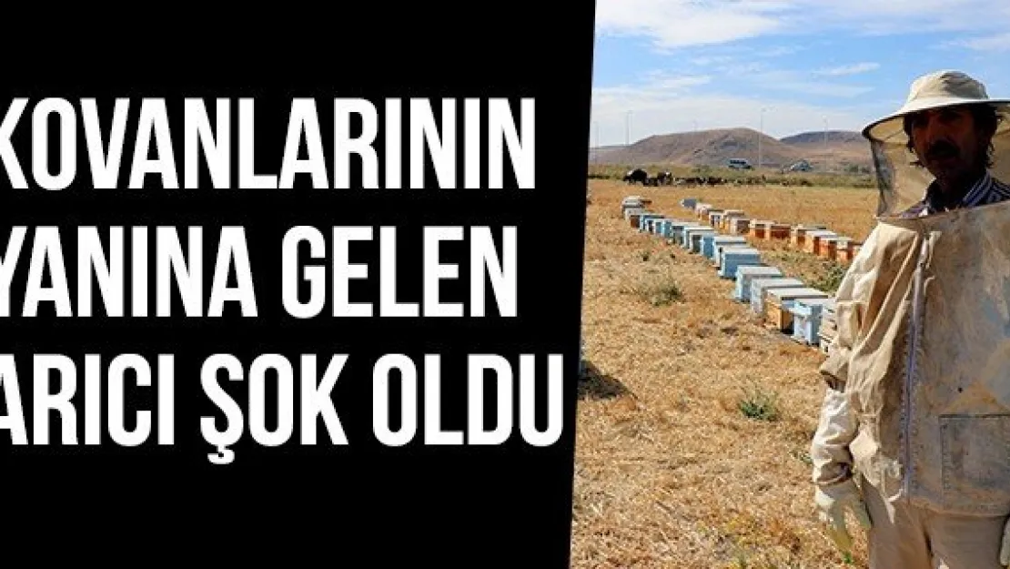 Kovanlarının Yanına Gelen Arıcı Şok Oldu