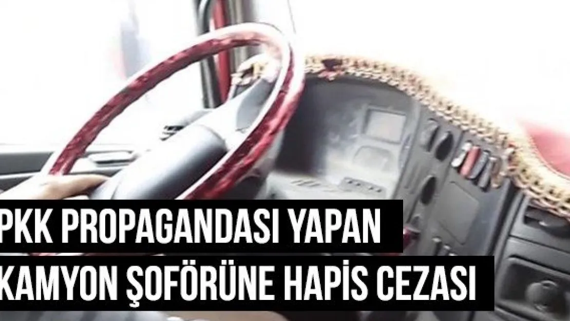 PKK Propagandası Yapan Kamyon Şoförüne Hapis Cezası