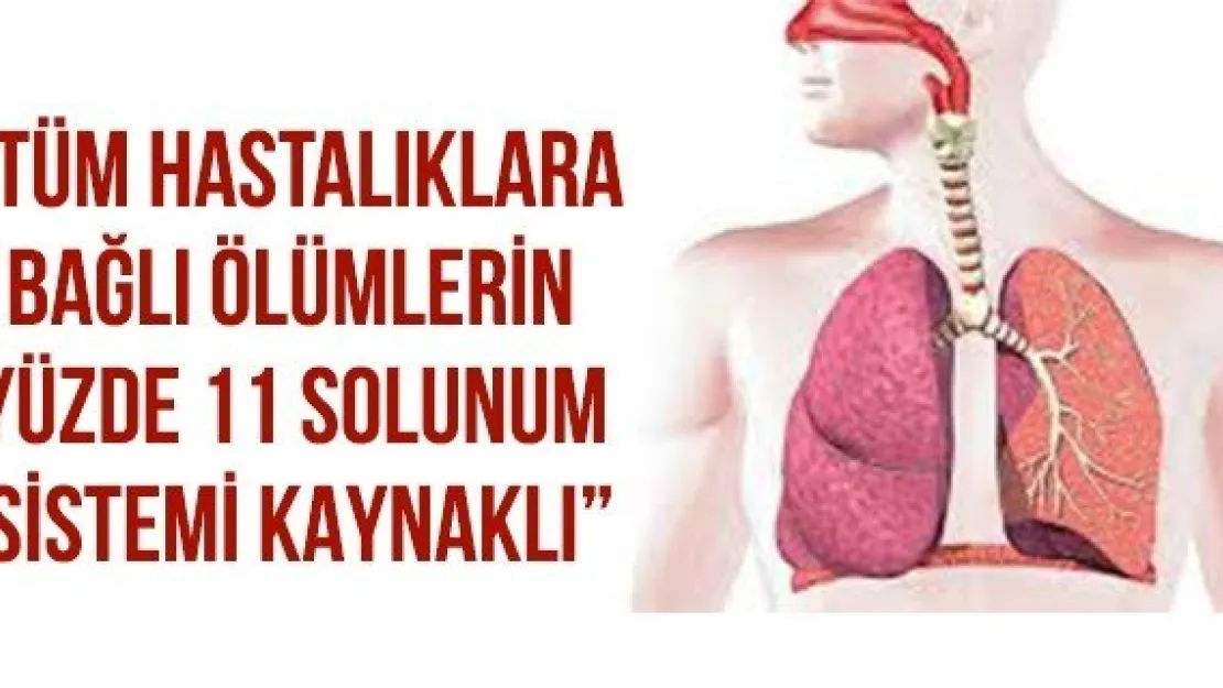 &quotTüm Hastalıklara Bağlı Ölümlerin Yüzde 11 Solunum Sistemi Kaynaklı'