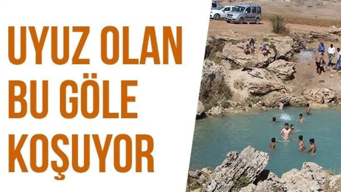 Uyuz olan bu göle koşuyor