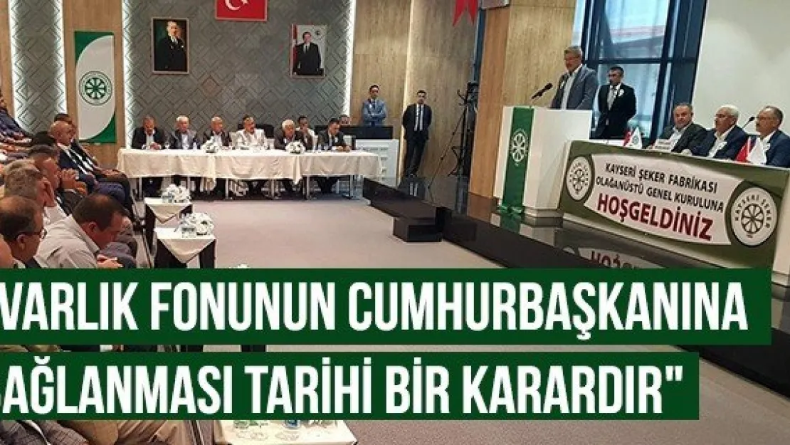 &quotVarlık fonunun Cumhurbaşkanına bağlanması tarihi bir karardır"