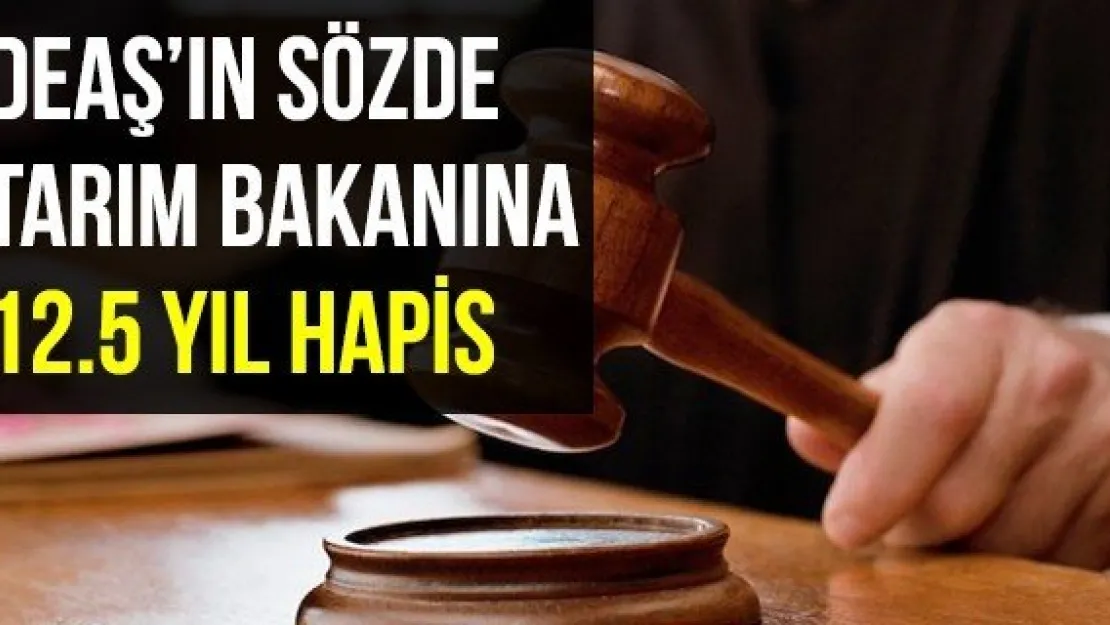 DEAŞ'ın Sözde Tarım Bakanına 12.5 Yıl Hapis