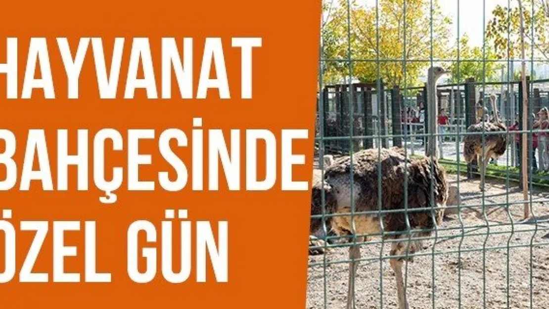 Hayvanat Bahçesinde Özel Gün