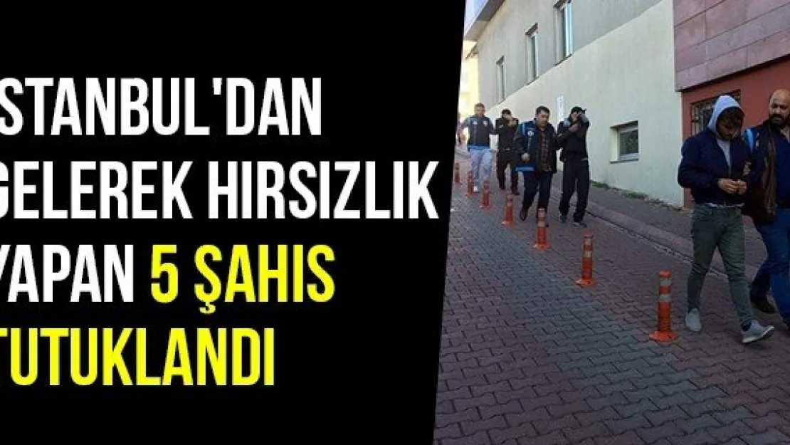 İstanbul'dan Gelerek Hırsızlık Yapan 5 Şahıs Tutuklandı