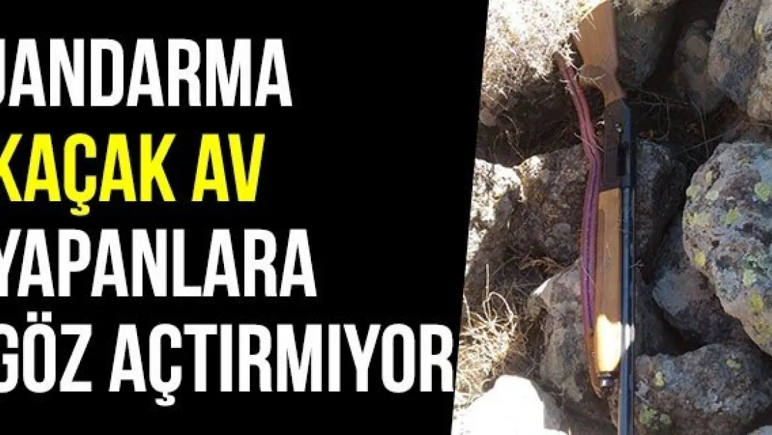 Jandarma Kaçak Av Yapanlara Göz Açtırmıyor