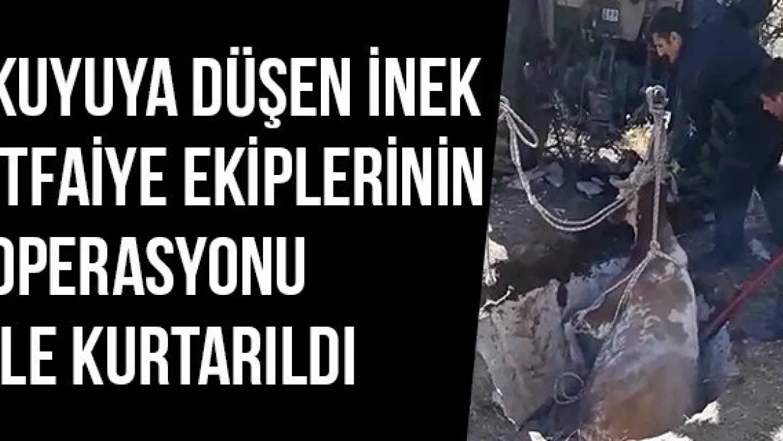 Kuyuya Düşen İnek İtfaiye Ekiplerinin Operasyonu İle Kurtarıldı