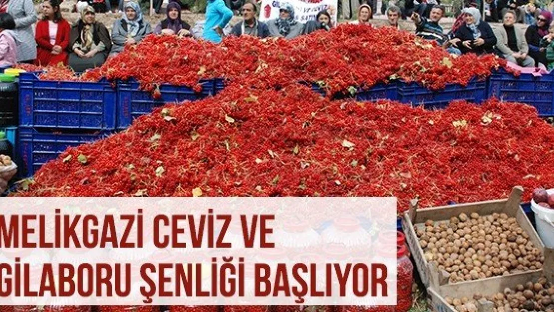 Melikgazi Ceviz ve Gilaboru Şenliği Başlıyor